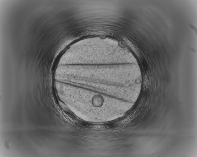 X0000097960787200804141026