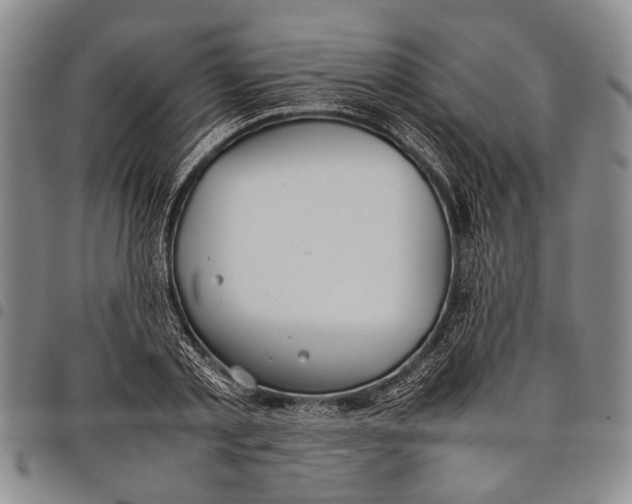 X0000097960789200804141026