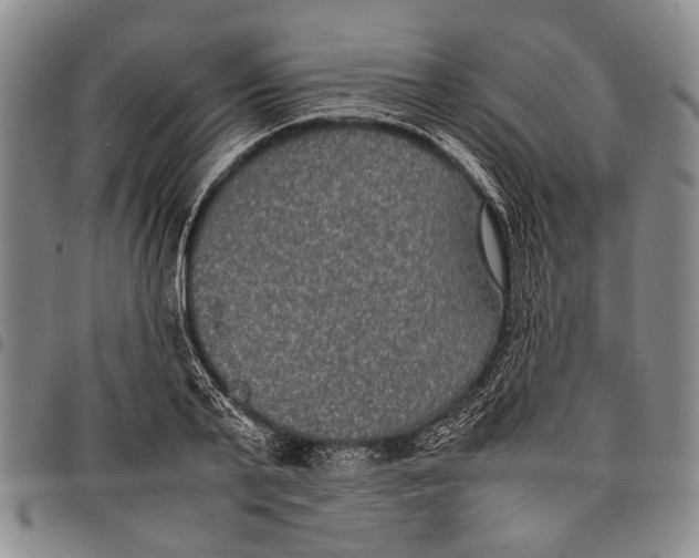 X0000097960791200804141026