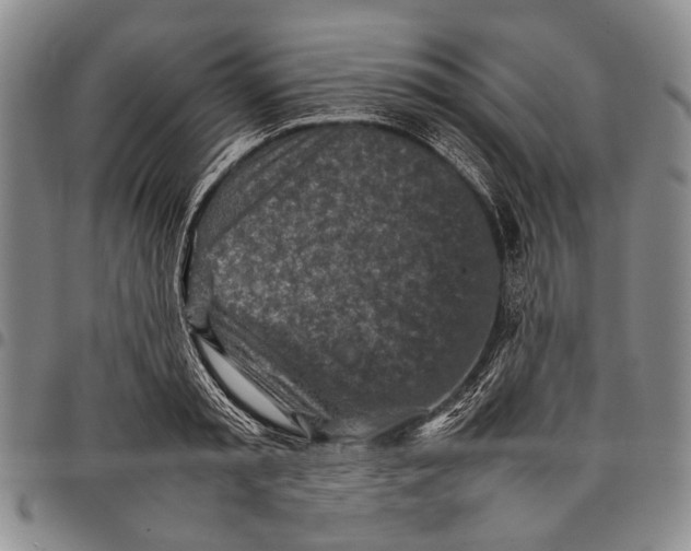 X0000097960797200804141026