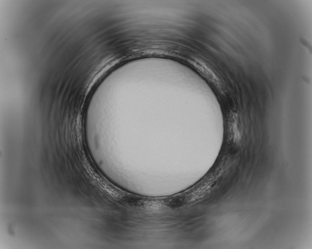 X0000097960798200804141026