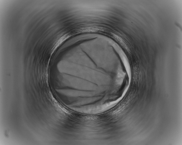 X0000097960802200804141026