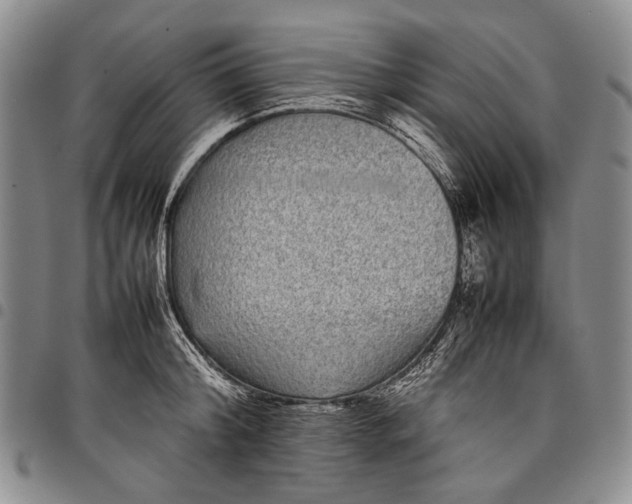 X0000097960804200804141026