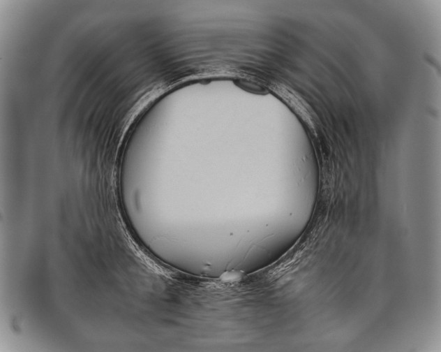 X0000097960805200804141026
