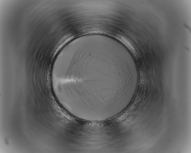 X0000097960806200804141026