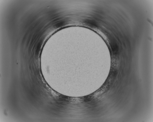 X0000097960807200804141026