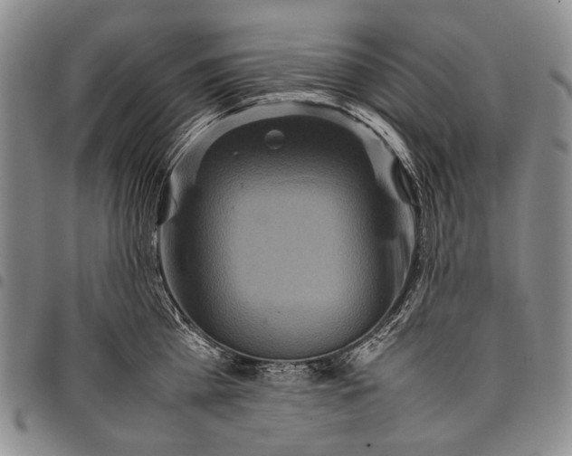 X0000097960809200804141026