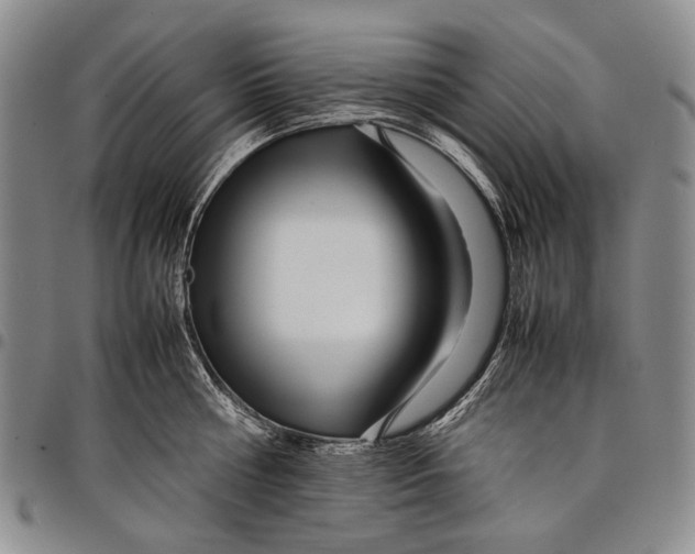 X0000097960810200804141026