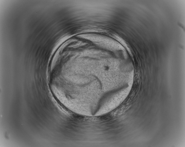 X0000097960811200804141026