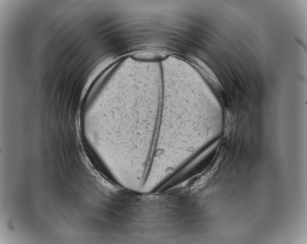 X0000097960812200804141026