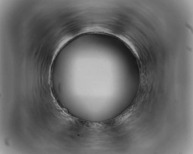 X0000097960815200804141026
