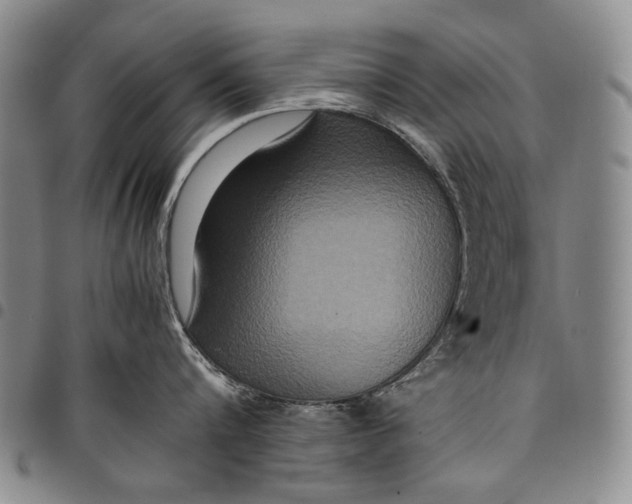 X0000097960816200804141026
