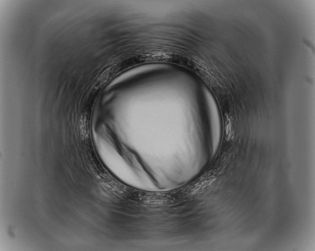 X0000097960819200804141025