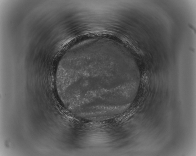 X0000097960822200804141025