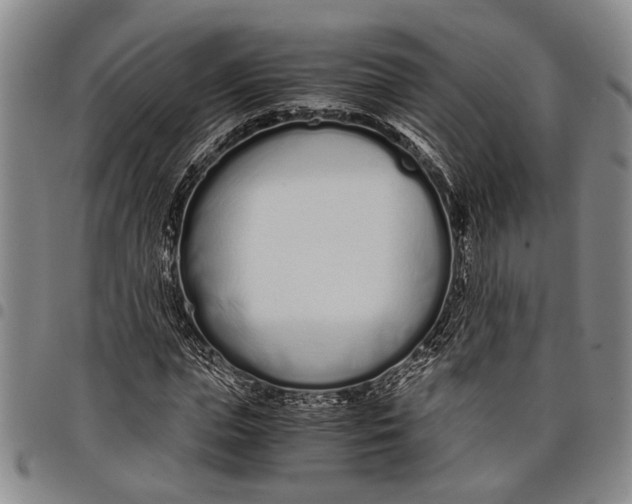 X0000097960823200804141025