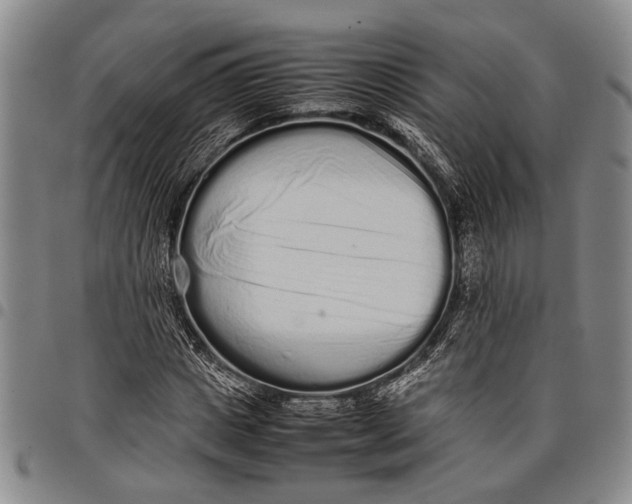 X0000097960825200804141025