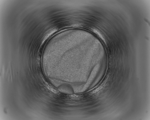 X0000097960827200804141025