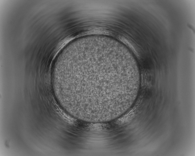 X0000097960828200804141025