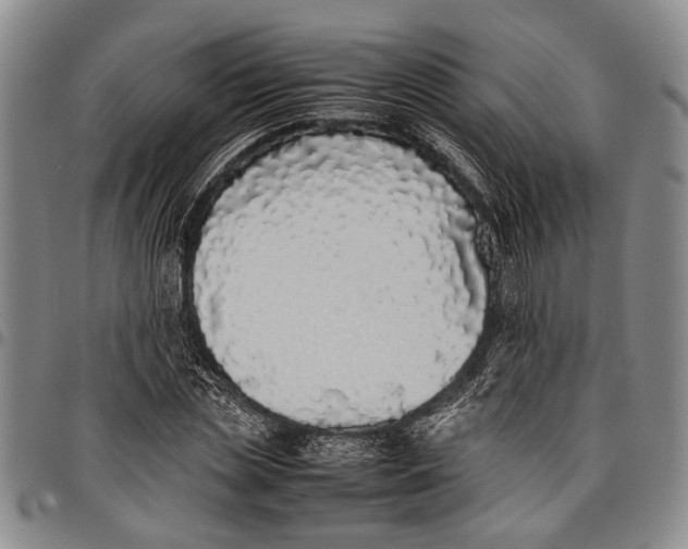 X0000097960829200804141025