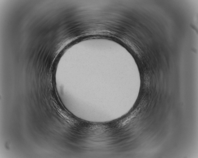 X0000097960830200804141025