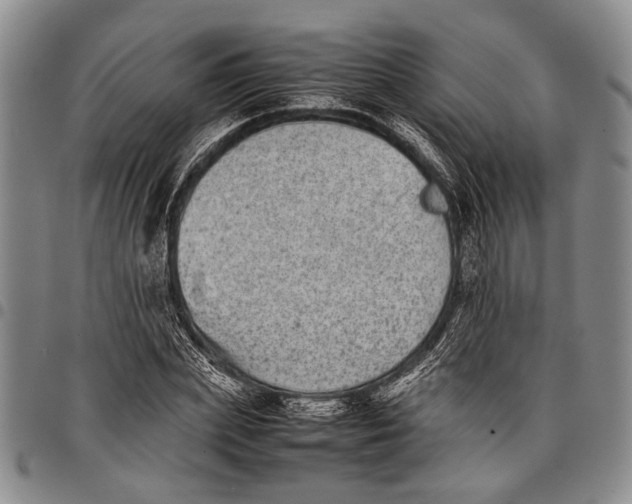 X0000097960831200804141025