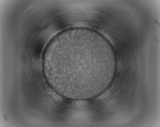X0000097960832200804141025