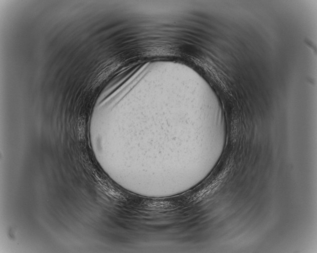 X0000097960833200804141025