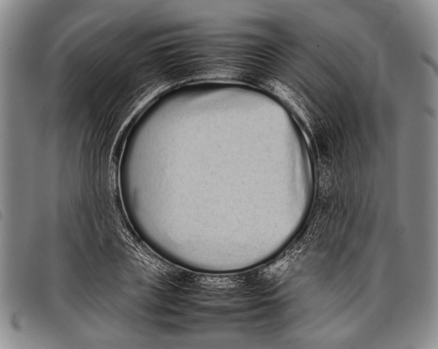X0000097960835200804141025