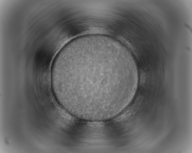 X0000097960836200804141025