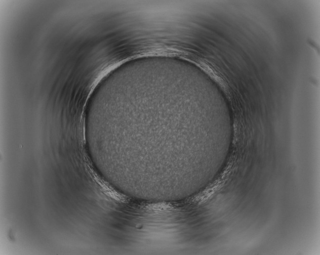 X0000097960838200804141025