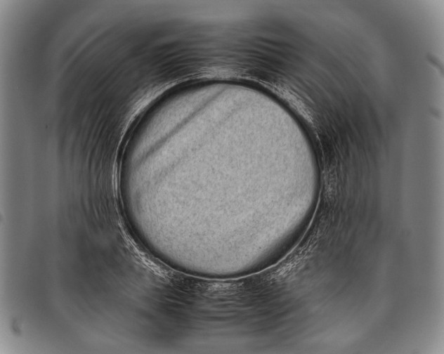 X0000097960839200804141025