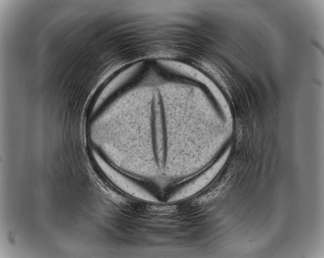 X0000097960843200804141025