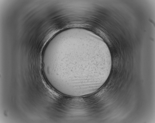 X0000097960844200804141025
