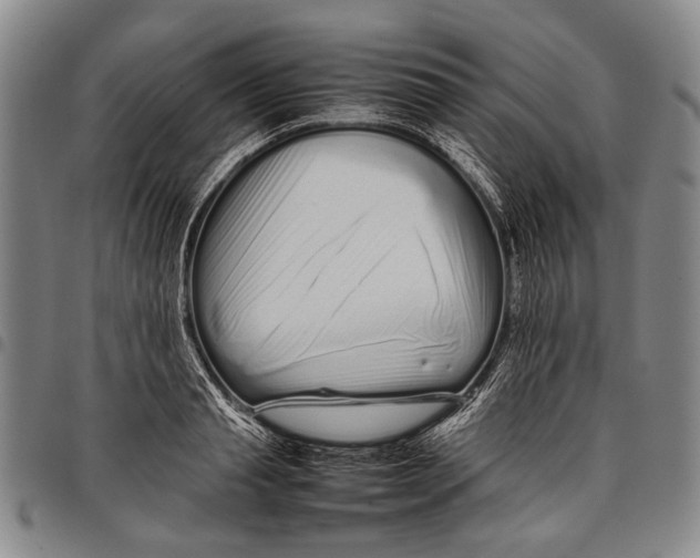 X0000097960845200804141025