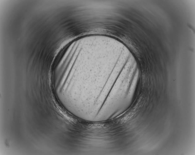 X0000097960846200804141025