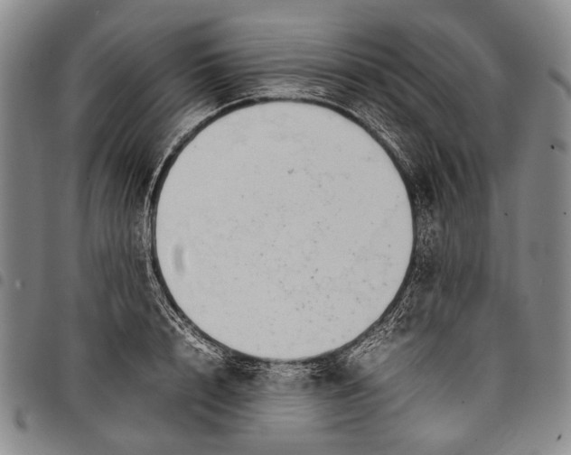 X0000097960848200804141025