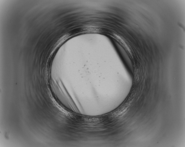 X0000097960851200804141025