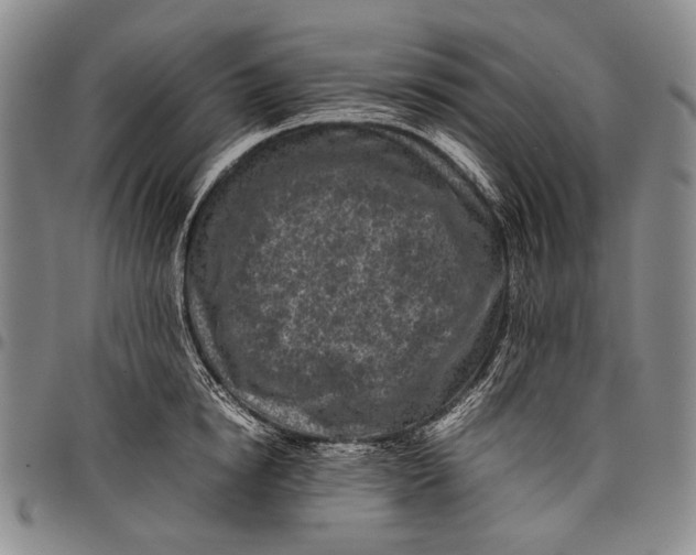 X0000097960854200804141025
