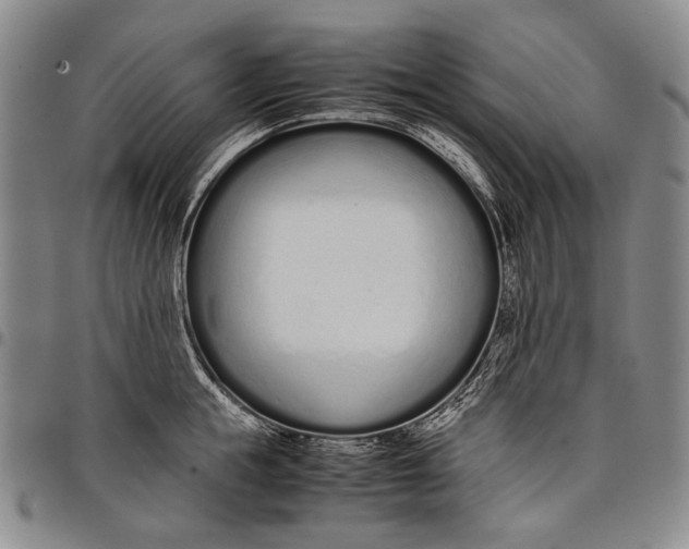 X0000097960855200804141025