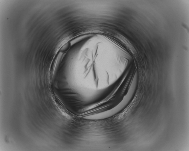X0000097960858200804141026