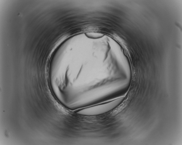 X0000097960859200804141026