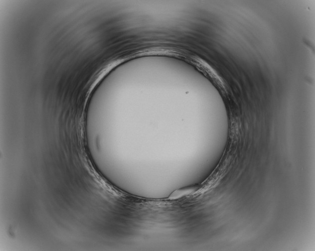 X0000097960860200804141026