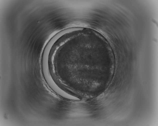 X0000097960864200804141026
