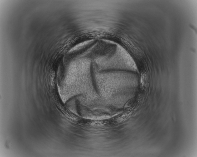 X0000097960867200804141025