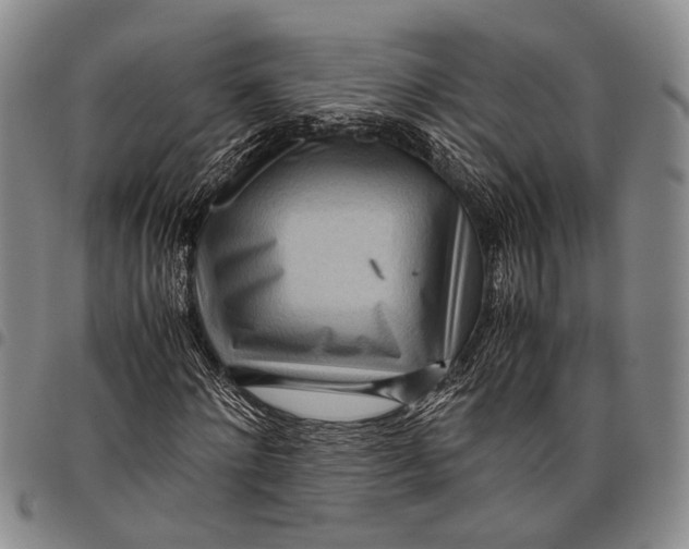 X0000097960868200804141025