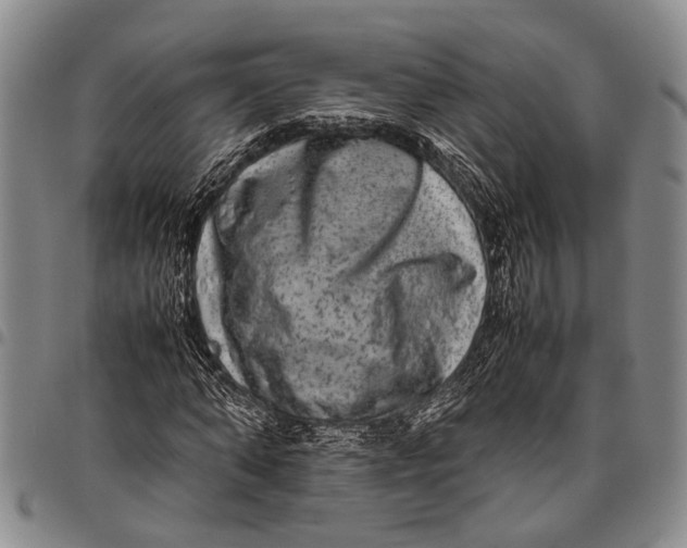 X0000097960870200804141025
