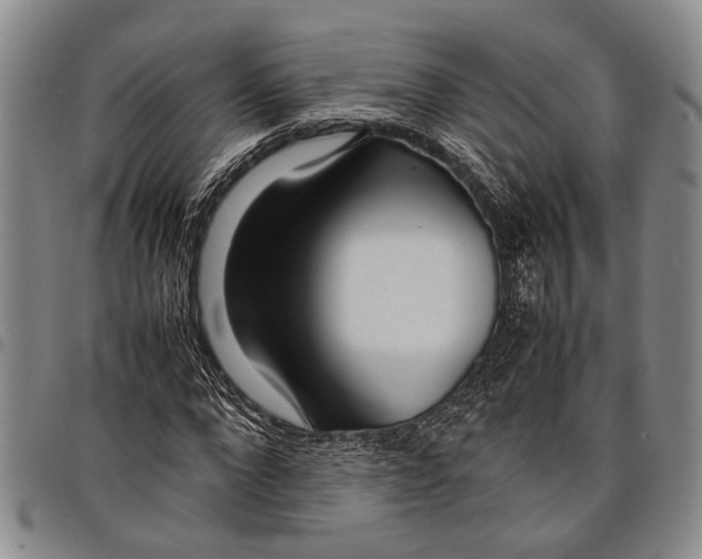 X0000097960872200804141025