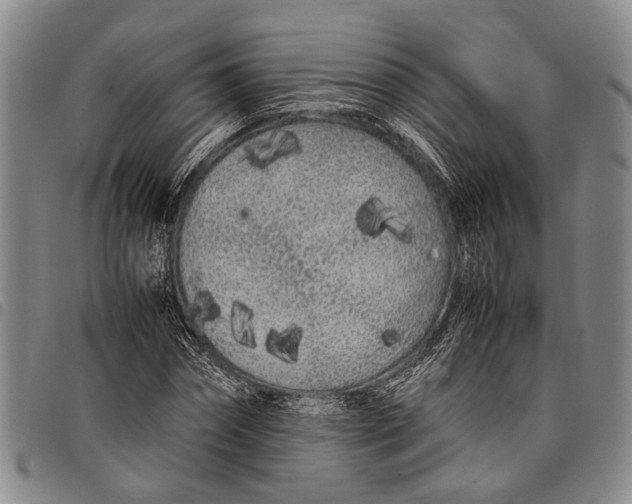 X0000097960874200804141025