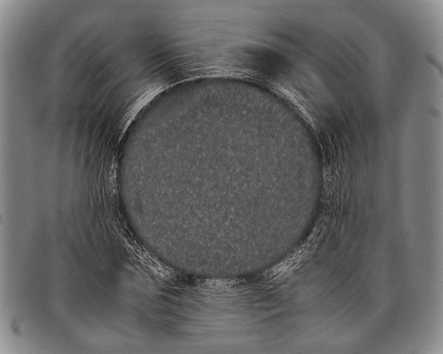 X0000097960875200804141025