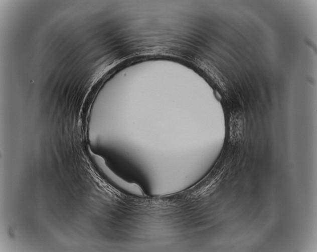 X0000097960876200804141025